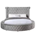 109 Queen-Bett Gaiva Bett Grauer Samt - Acme Furniture: Elegantes Design mit Nagelköpfen und Knopfheftung, Rahmen aus Holzwerkstoff