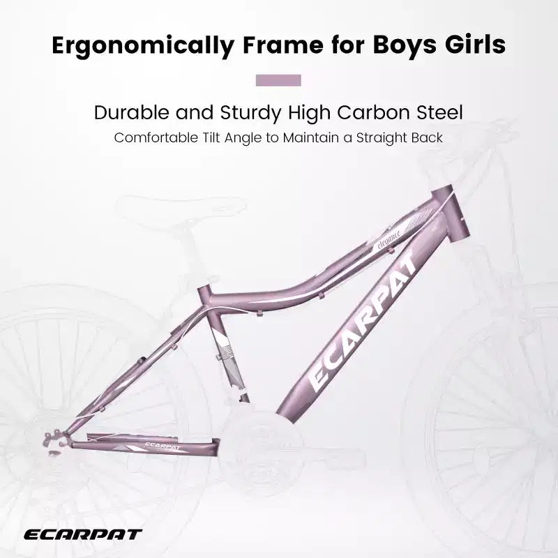 Zeus & Ruta 26 Zoll Mountainbike mit 21-Gang-Schaltung, Federgabel, V-Brake, Fahrrad mit Karbonstahlrahmen für Jugendliche und Damen