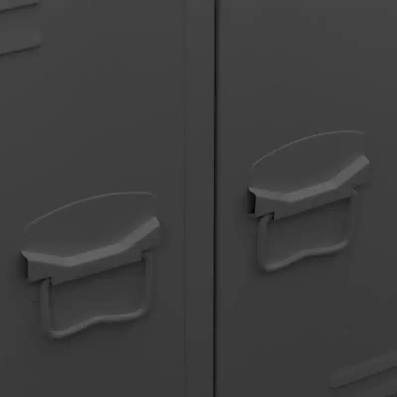vidaXL Kleiderschrank aus schwarzem Blech, mittelgroß, mit verstellbaren Einlegeböden